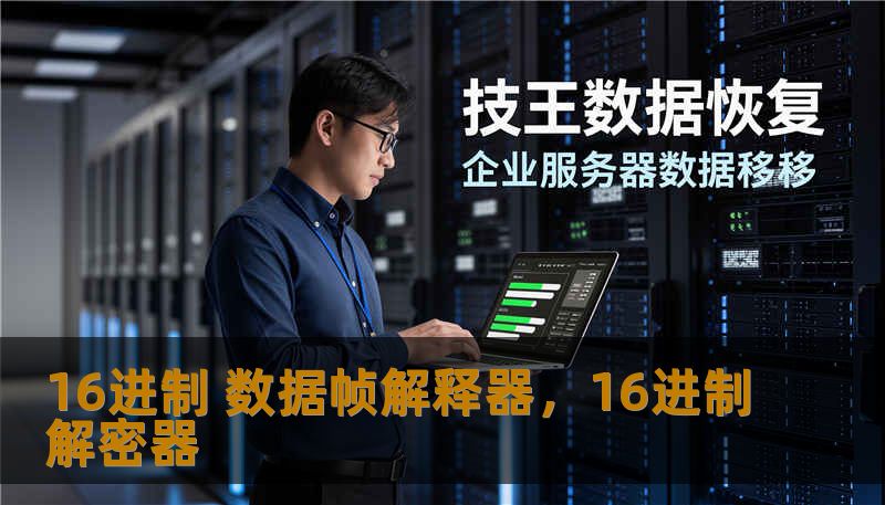 16进制 数据帧解释器，16进制解密器