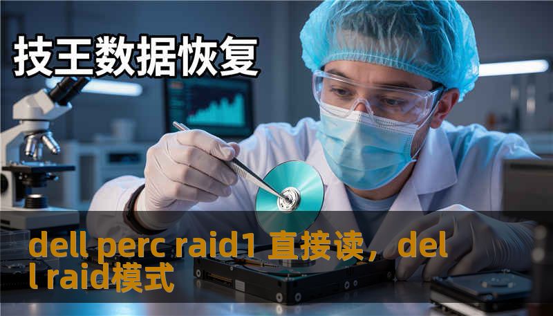 dell perc raid1 直接读，dell raid模式