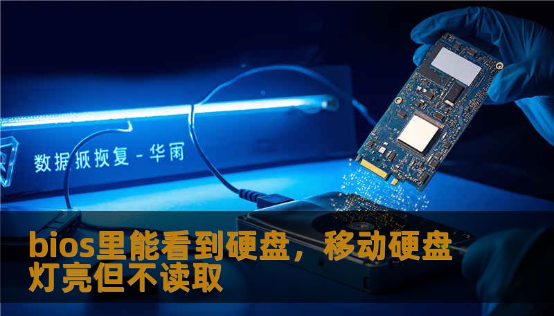 bios里能看到硬盘，移动硬盘灯亮但不读取