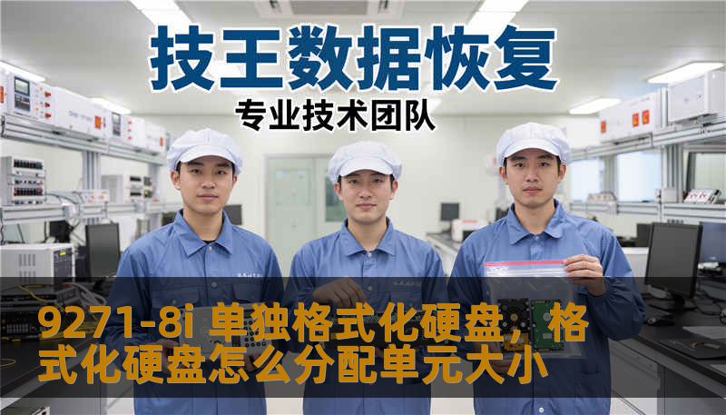 9271-8i 单独格式化硬盘，格式化硬盘怎么分配单元大小