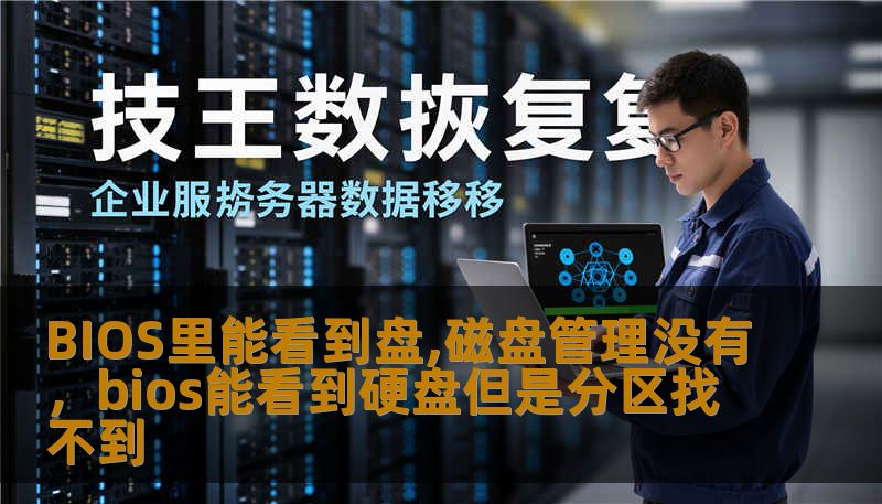 BIOS里能看到盘,磁盘管理没有，bios能看到硬盘但是分区找不到