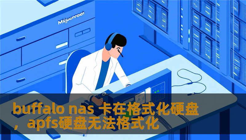buffalo nas 卡在格式化硬盘，apfs硬盘无法格式化
