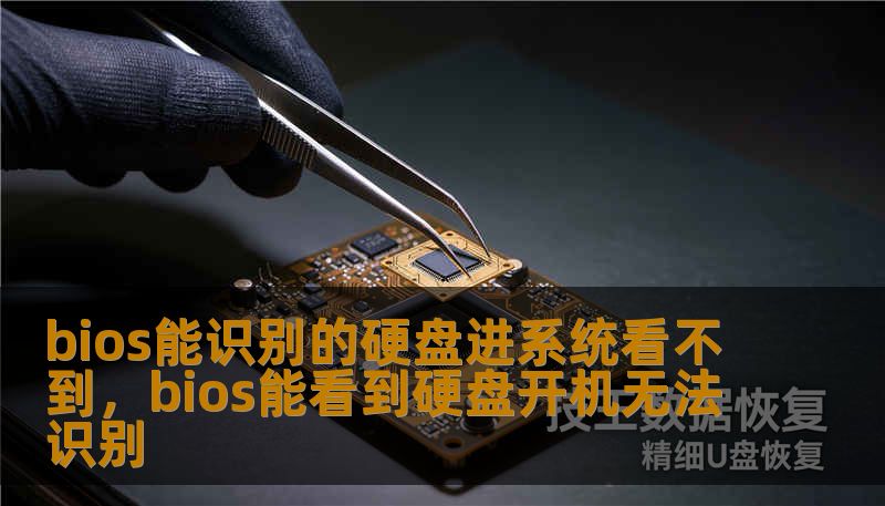 bios能识别的硬盘进系统看不到，bios能看到硬盘开机无法识别