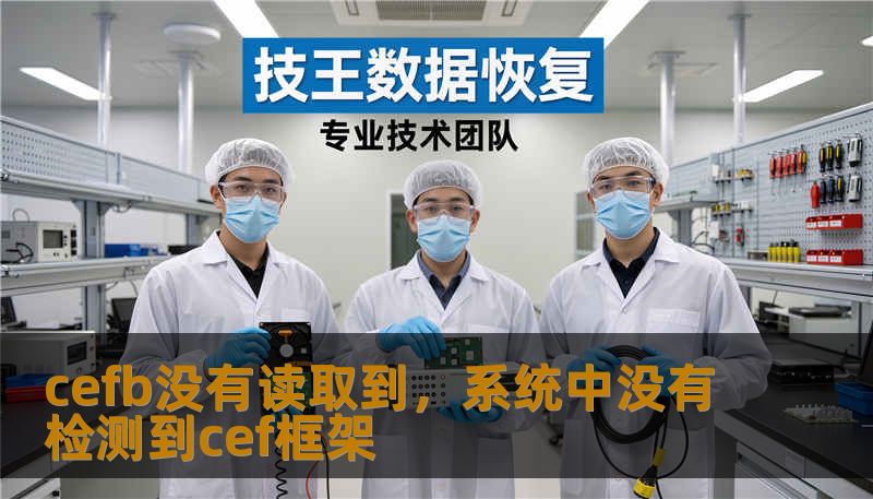 cefb没有读取到，系统中没有检测到cef框架