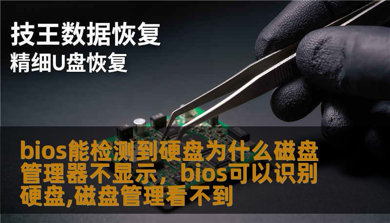 bios能检测到硬盘为什么磁盘管理器不显示，bios可以识别硬盘,磁盘管理看不到