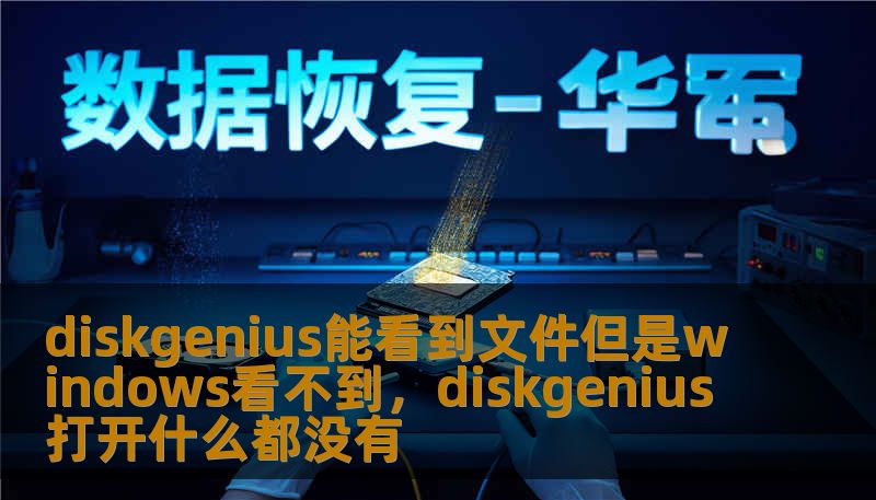 diskgenius能看到文件但是windows看不到，diskgenius打开什么都没有