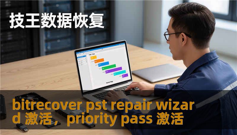 bitrecover pst repair wizard 激活，priority pass 激活