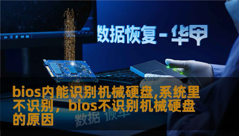bios内能识别机械硬盘,系统里不识别，bios不识别机械硬盘的原因