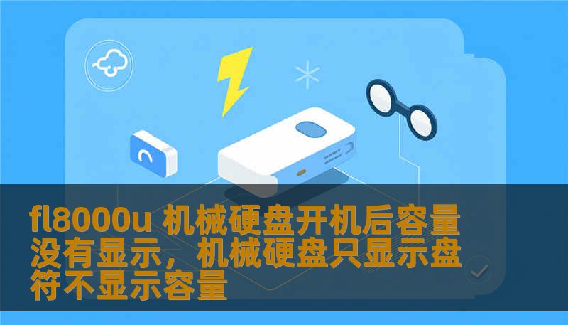 fl8000u 机械硬盘开机后容量没有显示，机械硬盘只显示盘符不显示容量