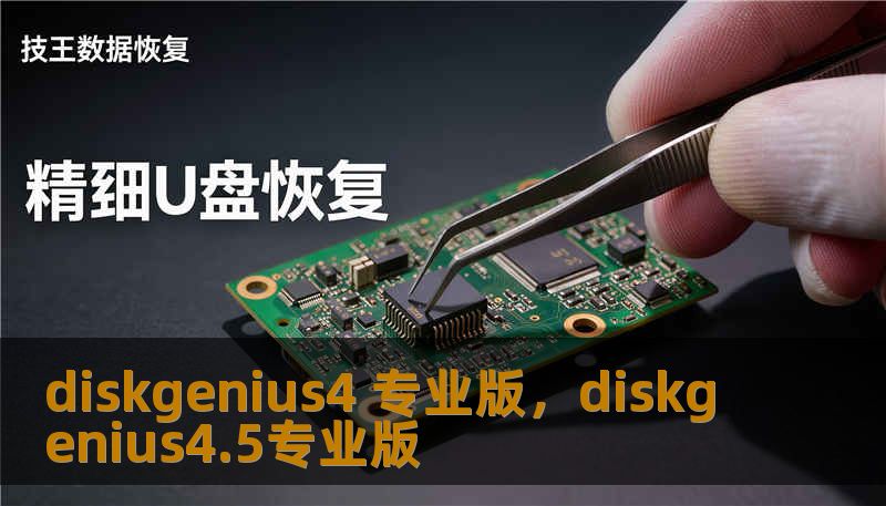 diskgenius4 专业版，diskgenius4.5专业版