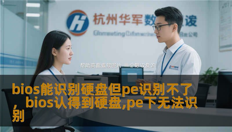 bios能识别硬盘但pe识别不了，bios认得到硬盘,pe下无法识别