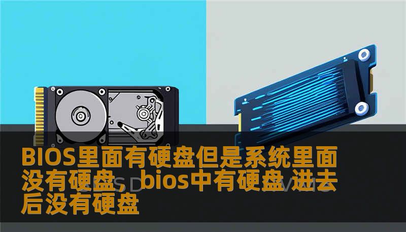 BIOS里面有硬盘但是系统里面没有硬盘，bios中有硬盘 进去后没有硬盘