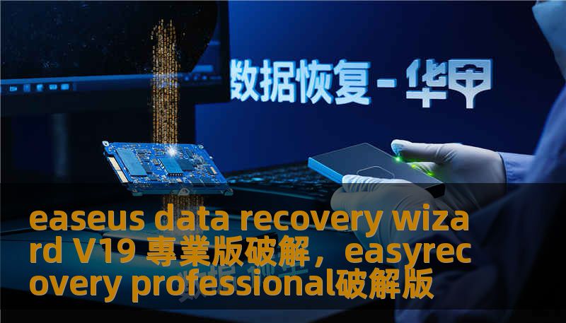easeus data recovery wizard V19 專業版破解，easyrecovery professional破解版