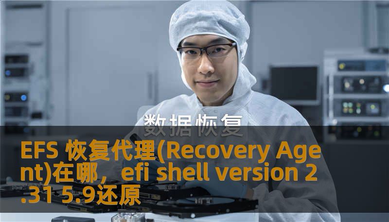 EFS 恢复代理(Recovery Agent)在哪，efi shell version 2.31 5.9还原