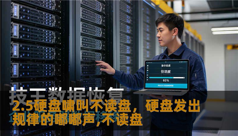 2.5硬盘啸叫不读盘，硬盘发出规律的嘟嘟声,不读盘
