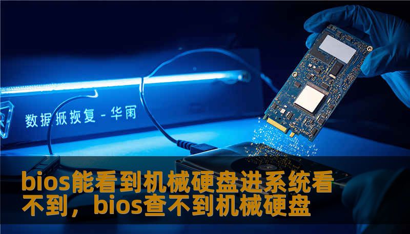 bios能看到机械硬盘进系统看不到，bios查不到机械硬盘
