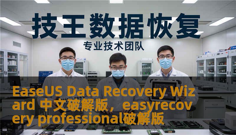 EaseUS Data Recovery Wizard 中文破解版，easyrecovery professional破解版