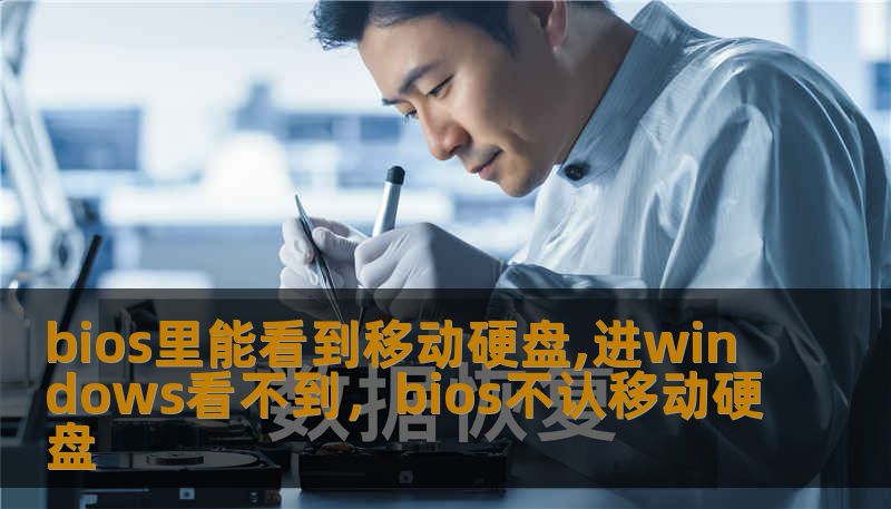 bios里能看到移动硬盘,进windows看不到，bios不认移动硬盘