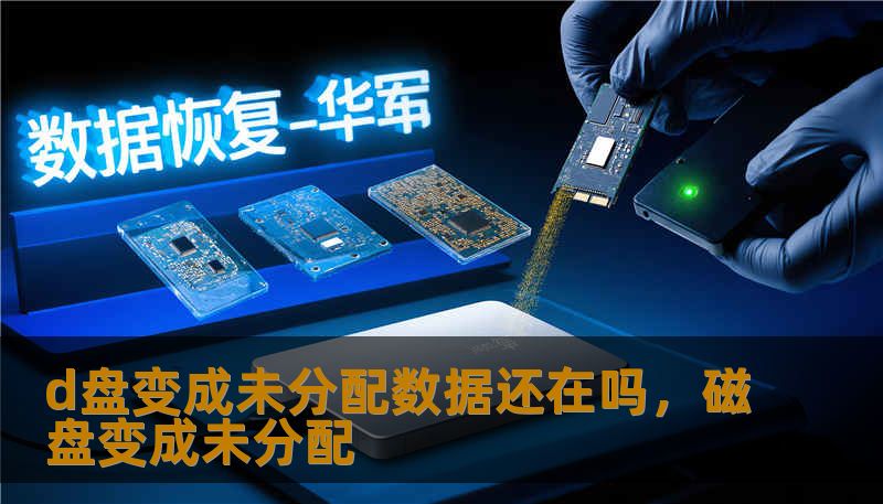 d盘变成未分配数据还在吗，磁盘变成未分配