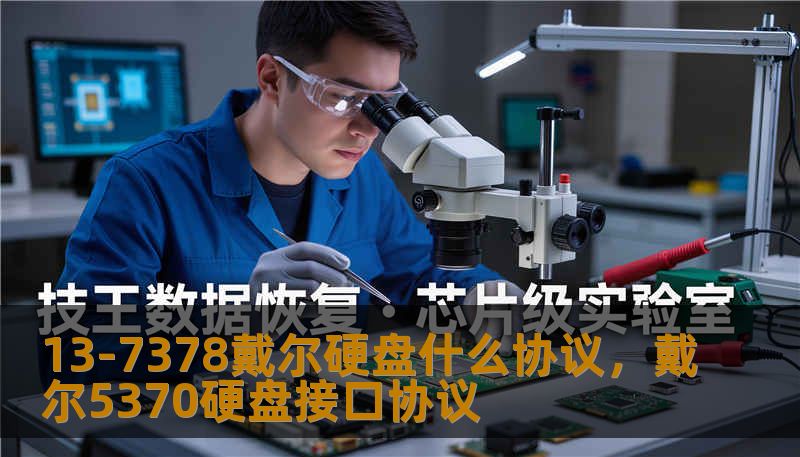 13-7378戴尔硬盘什么协议，戴尔5370硬盘接口协议