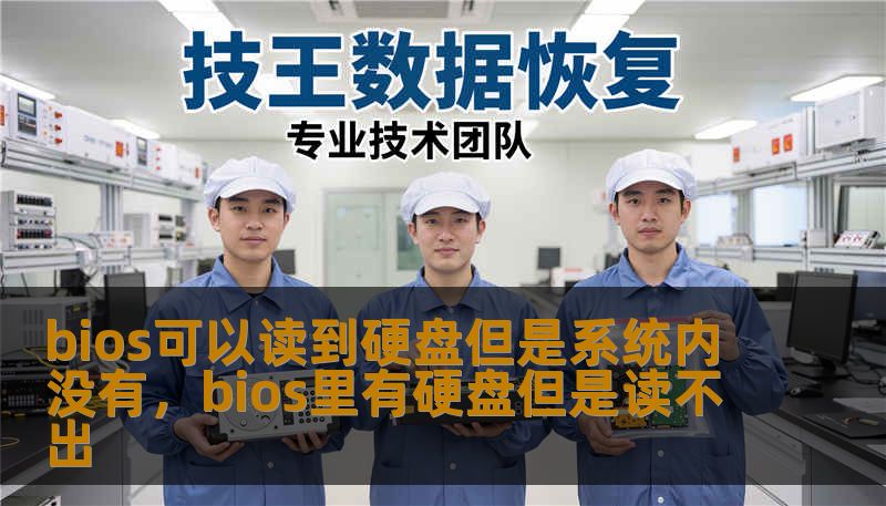 bios可以读到硬盘但是系统内没有，bios里有硬盘但是读不出