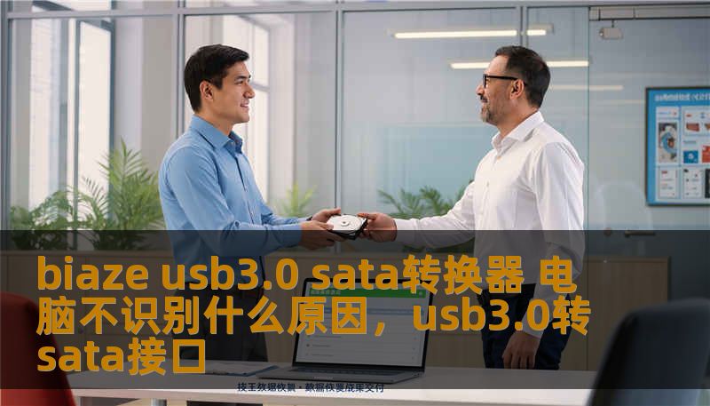 biaze usb3.0 sata转换器 电脑不识别什么原因，usb3.0转sata接口