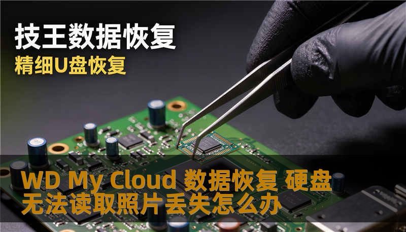 WD My Cloud 数据恢复 硬盘无法读取照片丢失怎么办