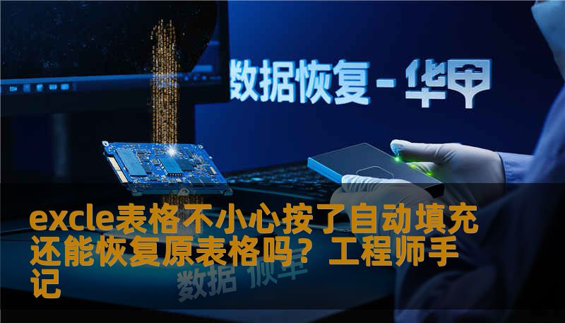 excle表格不小心按了自动填充还能恢复原表格吗？工程师手记