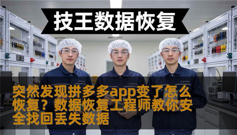突然发现拼多多app变了怎么恢复？数据恢复工程师教你安全找回丢失数据