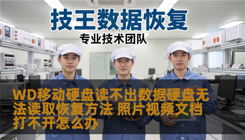 WD移动硬盘读不出数据硬盘无法读取恢复方法 照片视频文档打不开怎么办