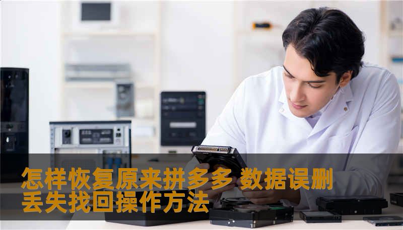 怎样恢复原来拼多多？本文由数据恢复工程师撰写，详解误删除、格式化、硬盘损坏等场景下的安全恢复方法，包含操作步骤与真实案例，帮助您快速找回重要数据。