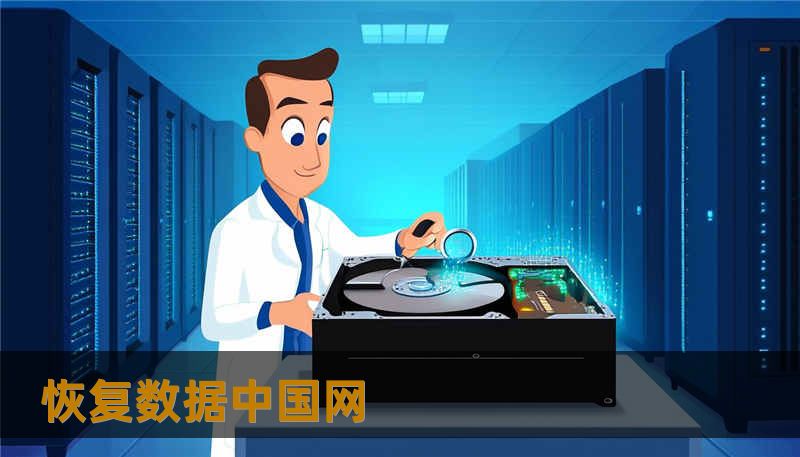 恢复数据中国网