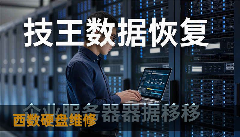 西数硬盘维修