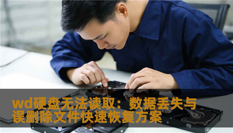 wd硬盘无法读取：数据丢失与误删除文件快速恢复方案