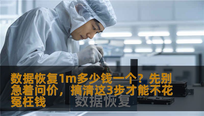 数据恢复1m多少钱一个？先别急着问价，搞清这3步才能不花冤枉钱