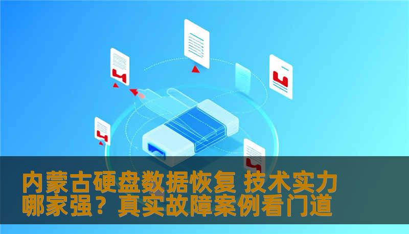 内蒙古硬盘数据恢复 技术实力哪家强？真实故障案例看门道