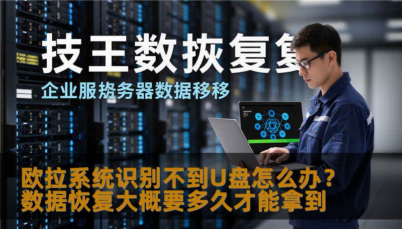 欧拉系统识别不到U盘怎么办？数据恢复大概要多久才能拿到