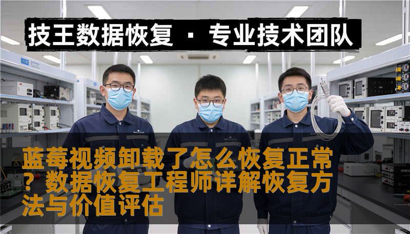 蓝莓视频卸载后视频文件丢失怎么办？资深数据恢复工程师分析恢复可能性、操作步骤与风险，评估是否值得恢复，提供真实案例和硬盘保护建议。