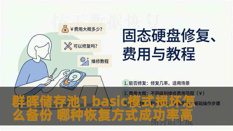 群晖储存池1 basic模式损坏怎么备份 哪种恢复方式成功率高