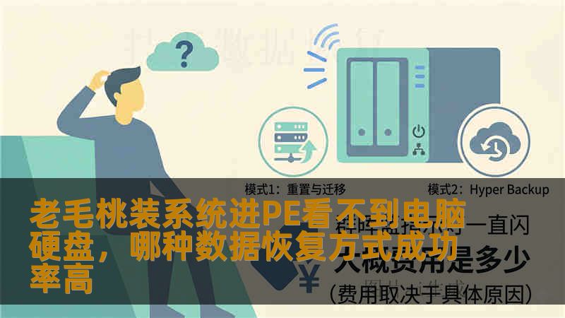 老毛桃装系统进PE看不到电脑硬盘，哪种数据恢复方式成功率高