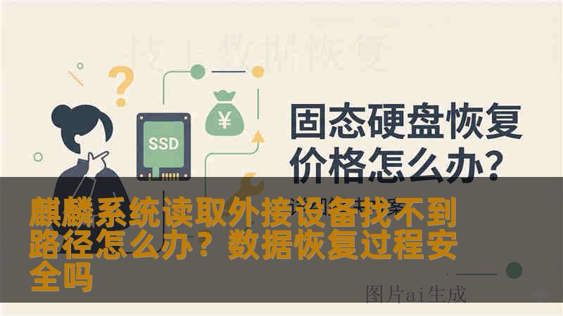 麒麟系统读取外接设备找不到路径怎么办？数据恢复过程安全吗