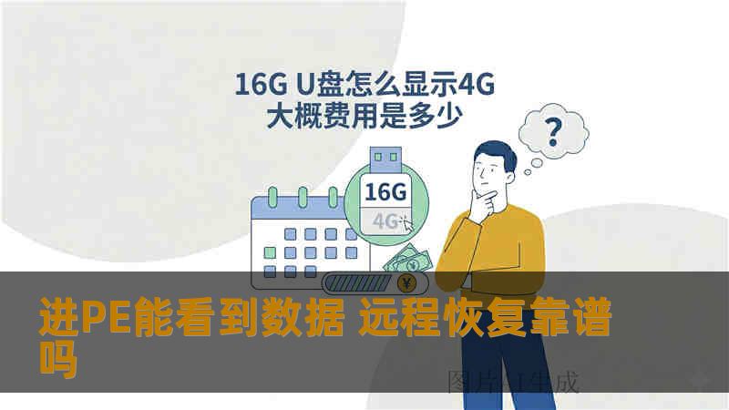 进PE能看到数据 远程恢复靠谱吗