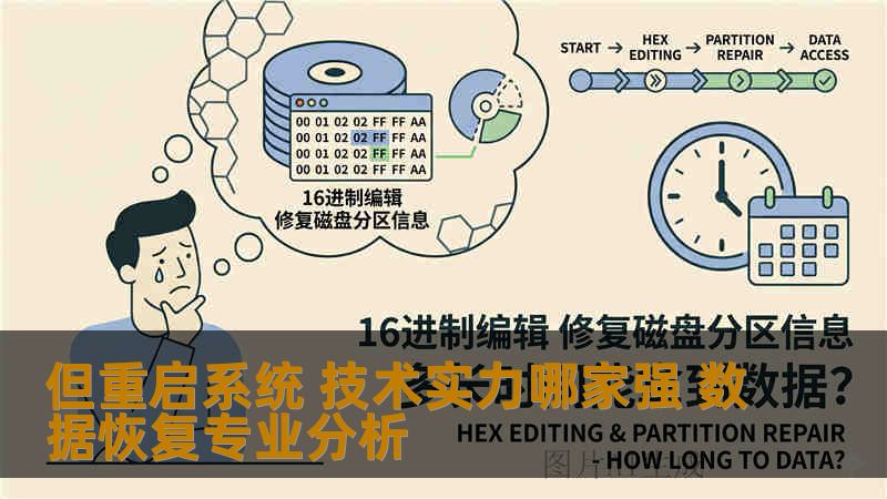 但重启系统 技术实力哪家强 数据恢复专业分析