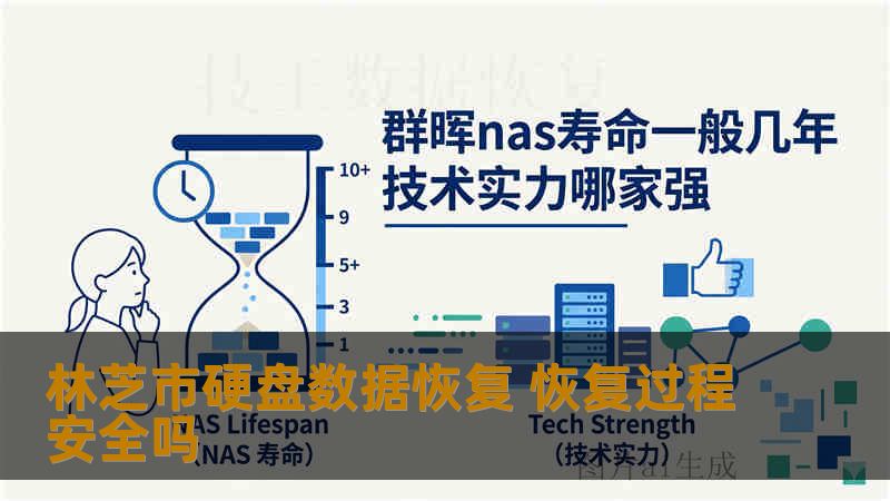 林芝市硬盘数据恢复 恢复过程安全吗