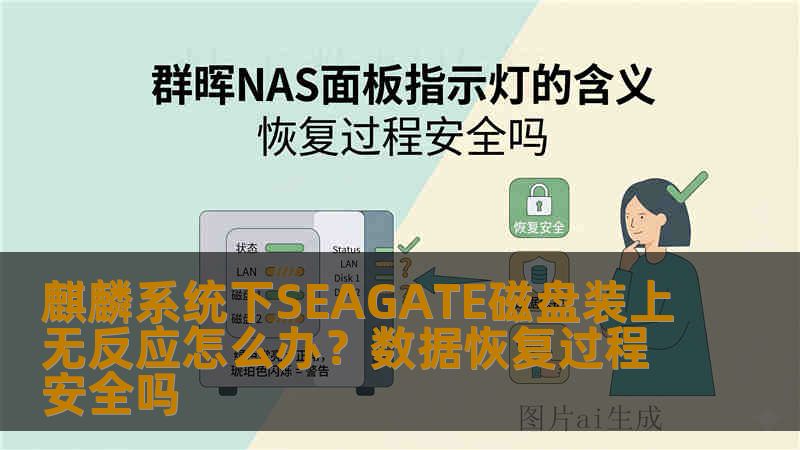 麒麟系统下SEAGATE磁盘装上无反应怎么办？数据恢复过程安全吗