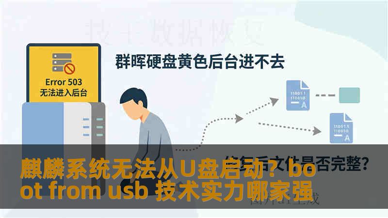麒麟系统无法从U盘启动?boot from usb 技术实力哪家强 麒麟系统无法从U盘启动?boot from usb 技术实力哪家强