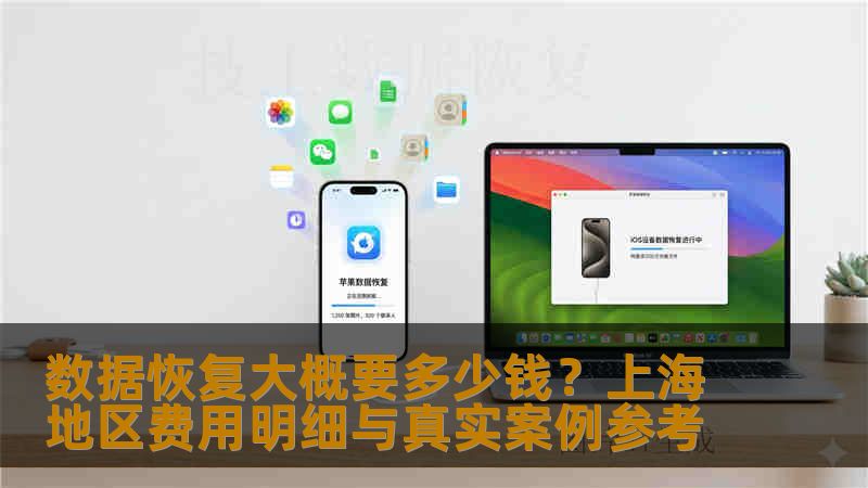 数据恢复大概要多少钱?上海地区费用明细与真实案例参考 数据恢复大概要多少钱?上海地区费用明细与真实案例参考