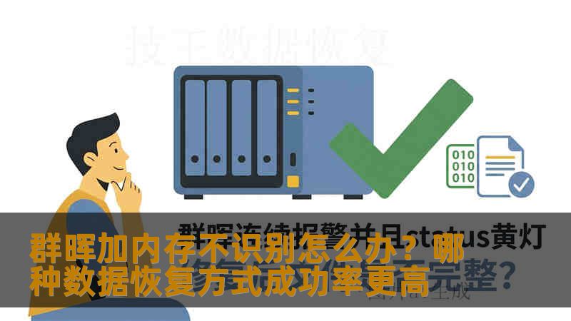 群晖加内存不识别怎么办？哪种数据恢复方式成功率更高