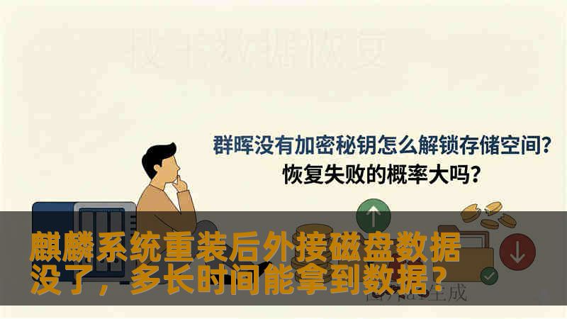麒麟系统重装后外接磁盘数据没了，多长时间能拿到数据？