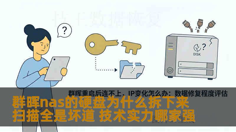 群晖nas的硬盘为什么拆下来扫描全是坏道 技术实力哪家强